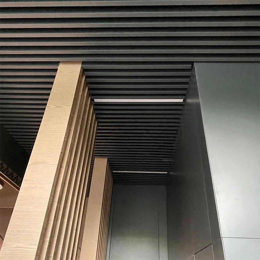  Lath Ceiling